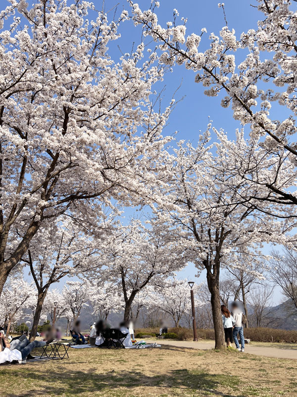 등산 도시락