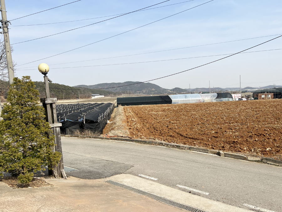 강화도 갈만한곳