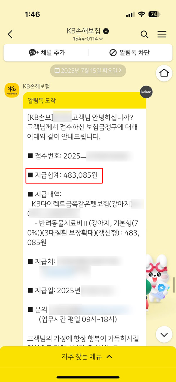 강아지 플레이트 제거