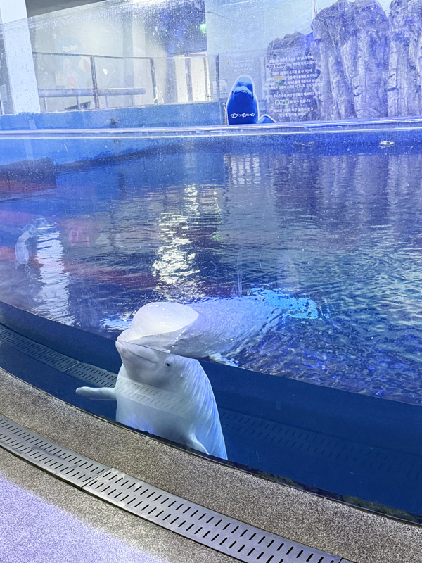 여수 가볼만한곳