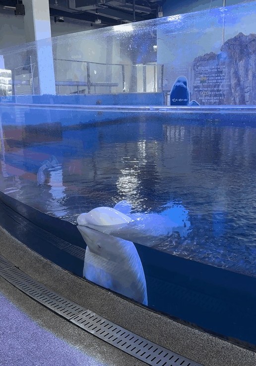 여수 가볼만한곳