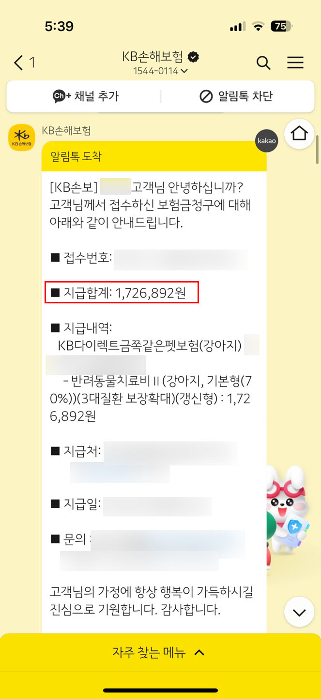 펫보험
