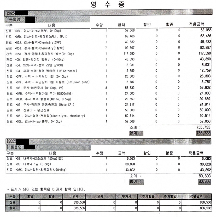 강아지 장폐색