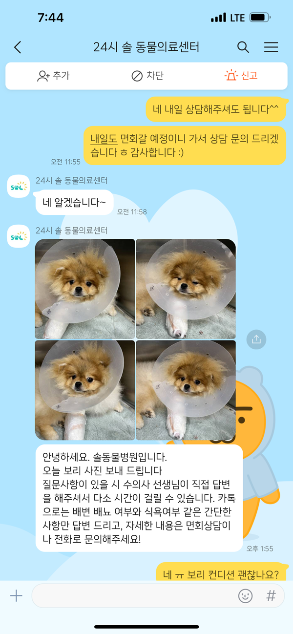 강아지 골절 수술
