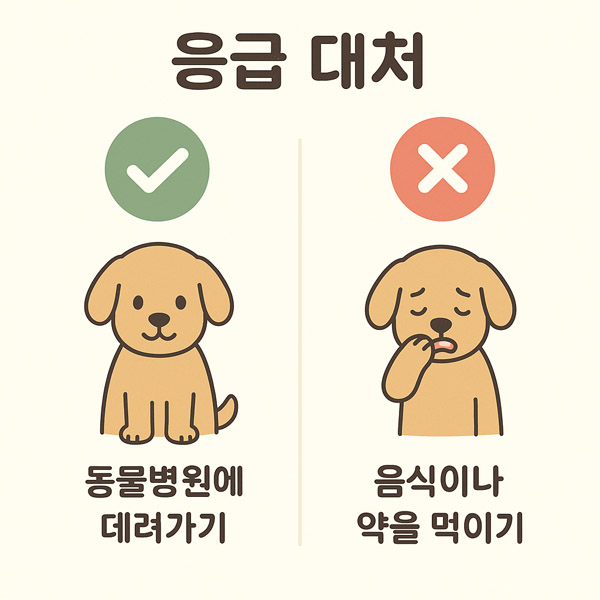 강아지 장폐색