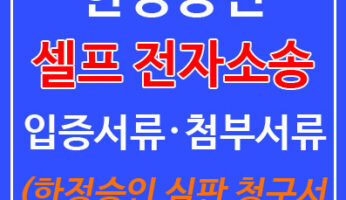 한정승인